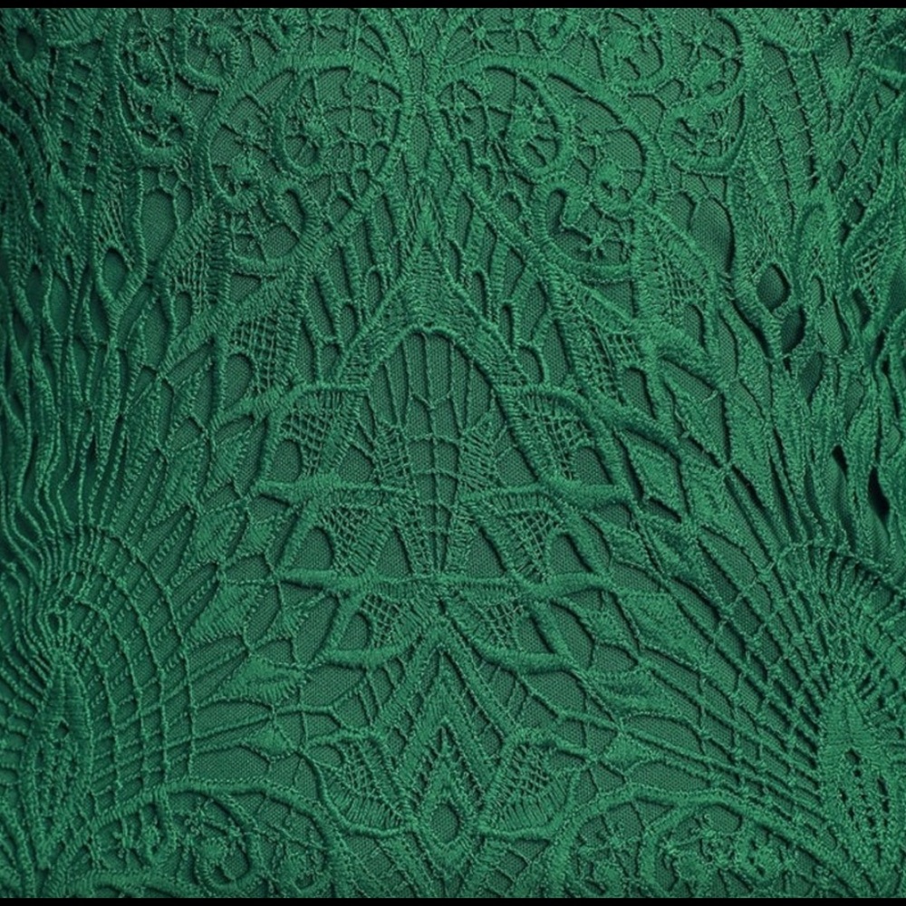 Lulus Lucky in Lace Emerald/Forest Green Lace Halter Midi Dress - Picture 4 of 13